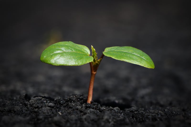 Crystal Soil Enhancers