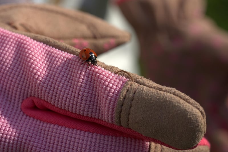 Starlight Gardening Gloves