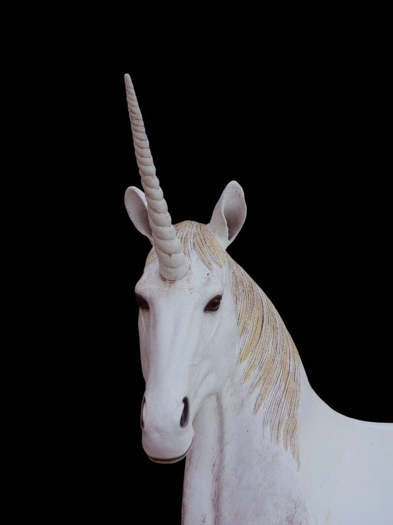 Unicorn Garden Pals